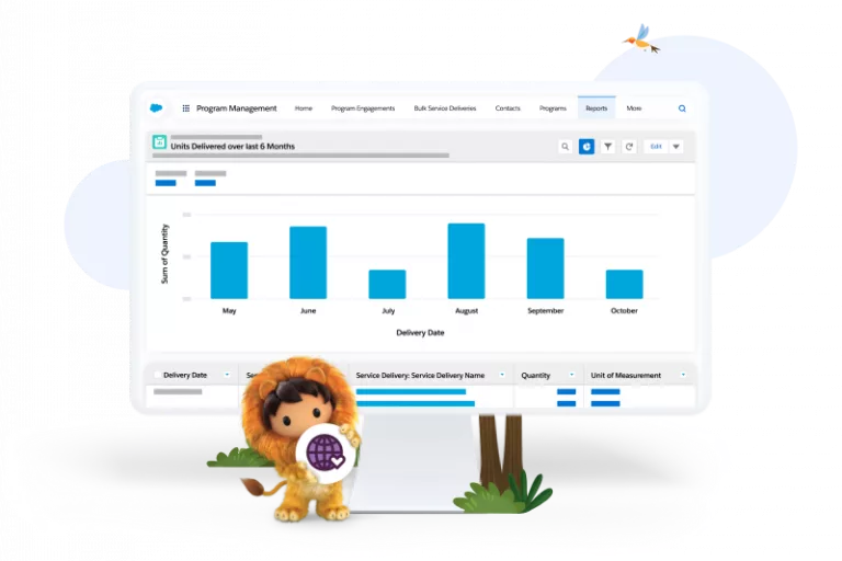 NPSP - program features